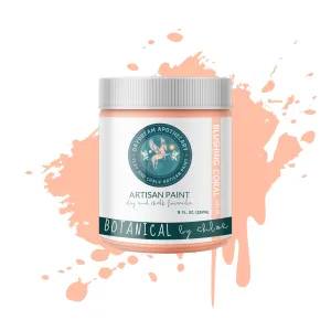 Blushing Coral: Daydream Apothecary Clay and Chalk Artisan Paint