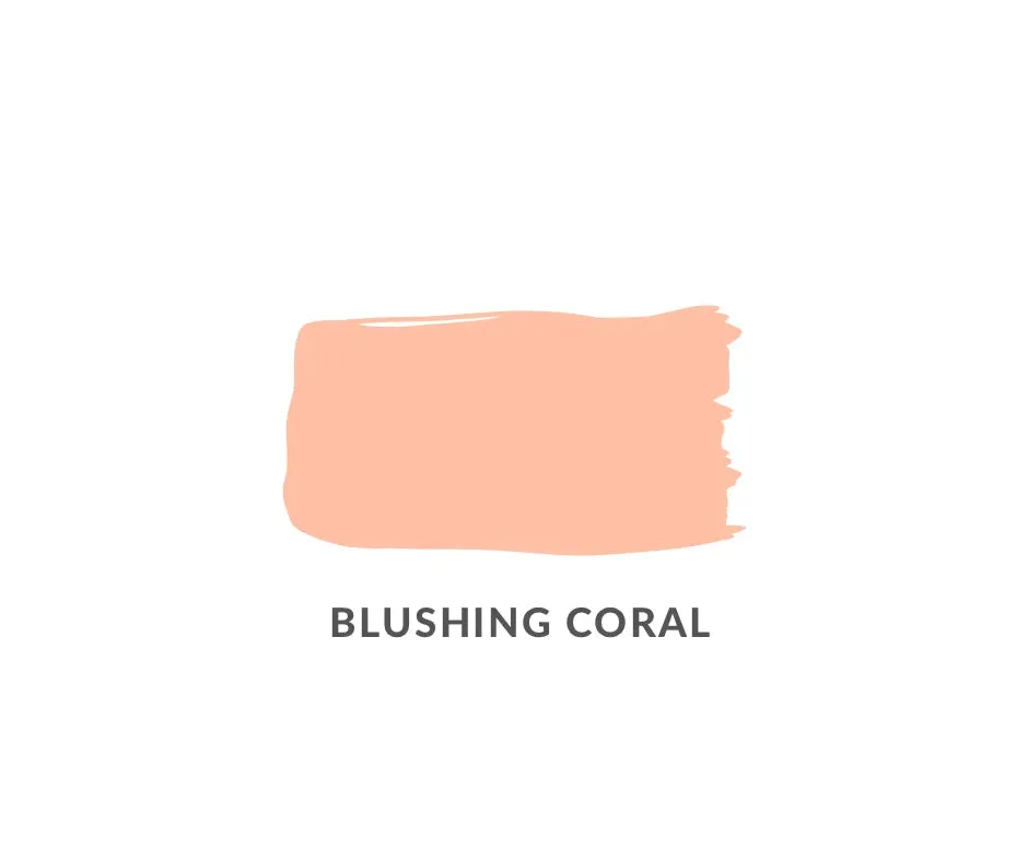 Blushing Coral: Daydream Apothecary Clay and Chalk Artisan Paint