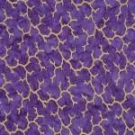 Coral Reef With Metallic - Quartz