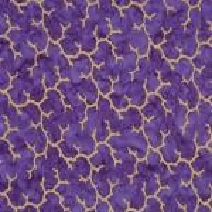 Coral Reef With Metallic - Quartz