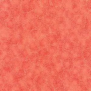 Fusions - Coral