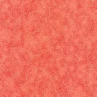 Fusions - Coral