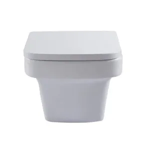 Medici Back to Wall Toilet with Soft Close Seat