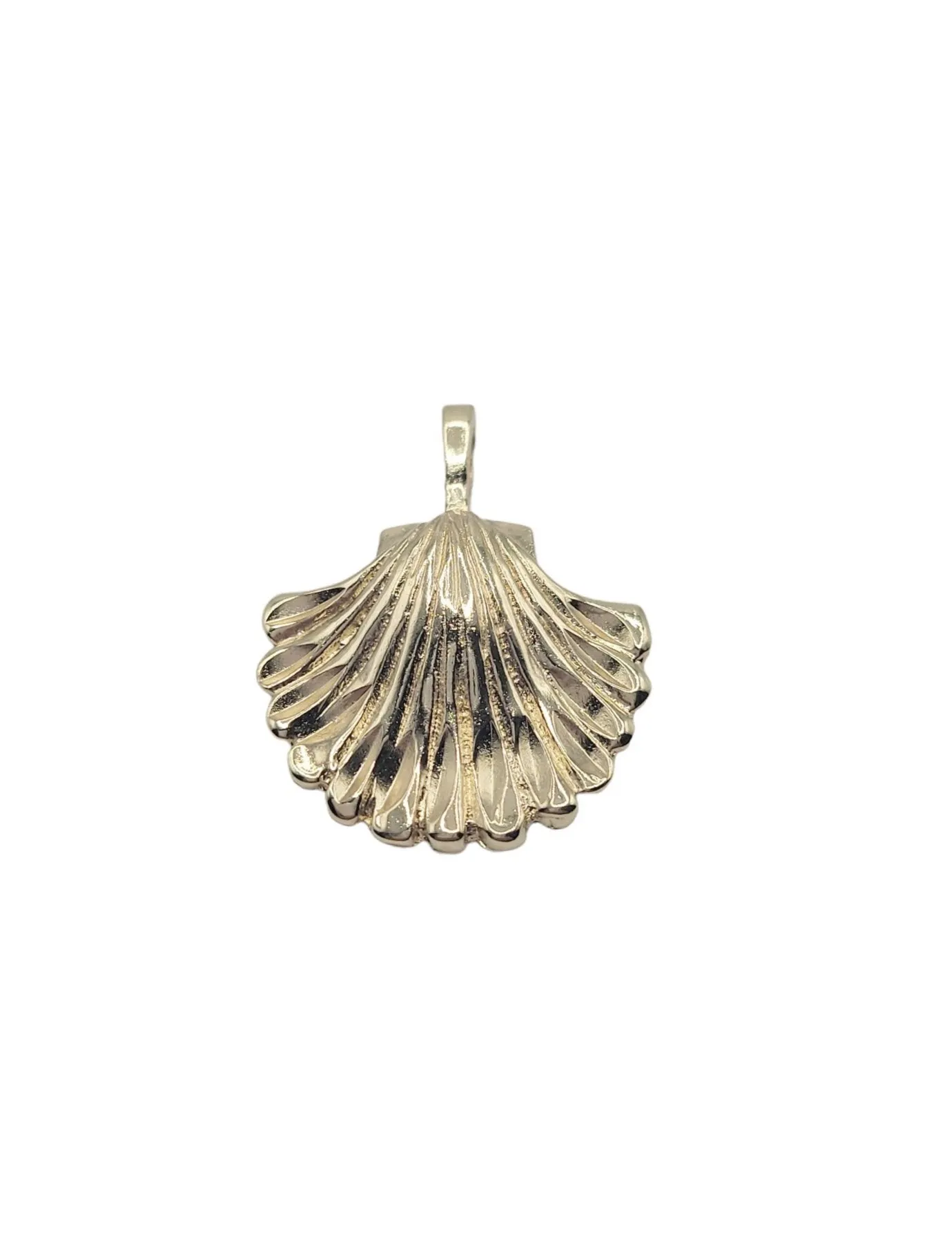 Oyster Shell Charms