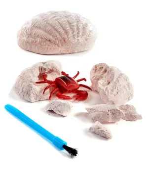 Sealife Digout
